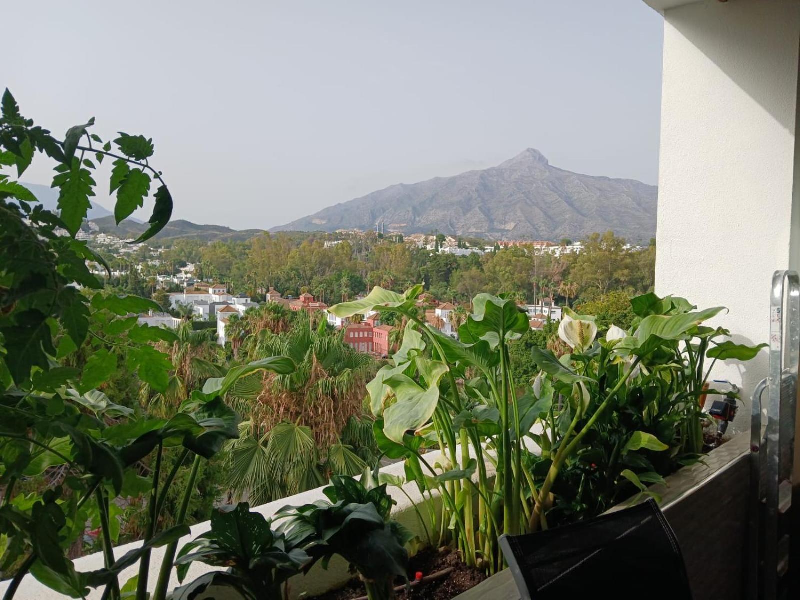 Apartment Luxurious In 5-star Del Golf *